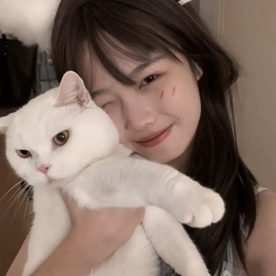 战神传说果盘版下载